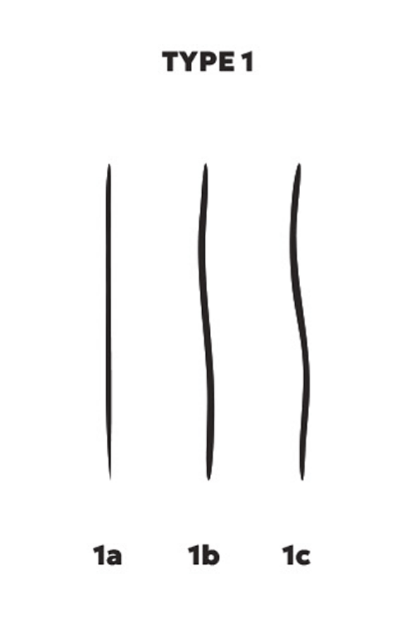 Type 1 – Cheveux lisses