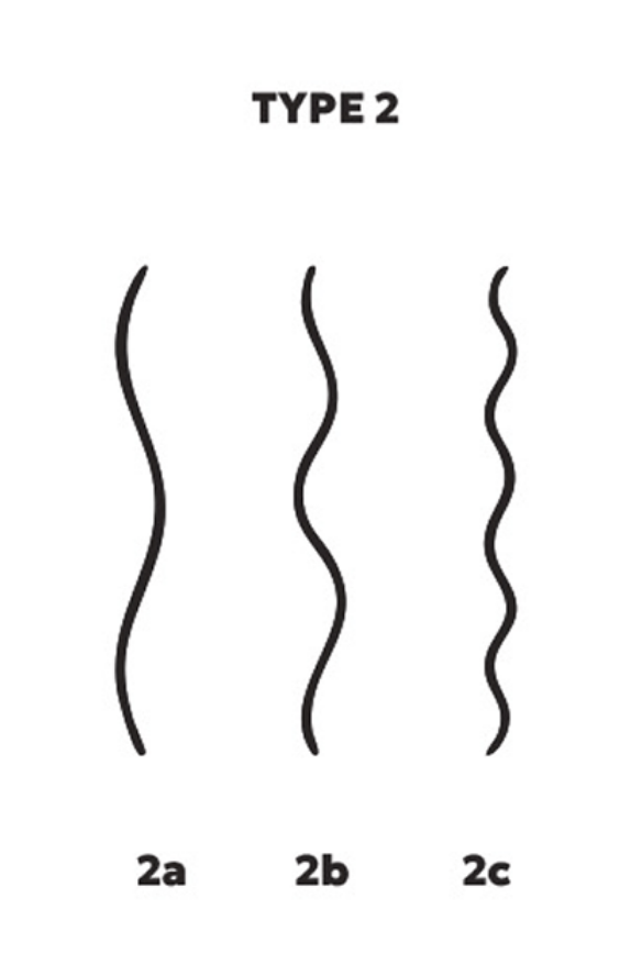Type 2 – Cheveux ondulés